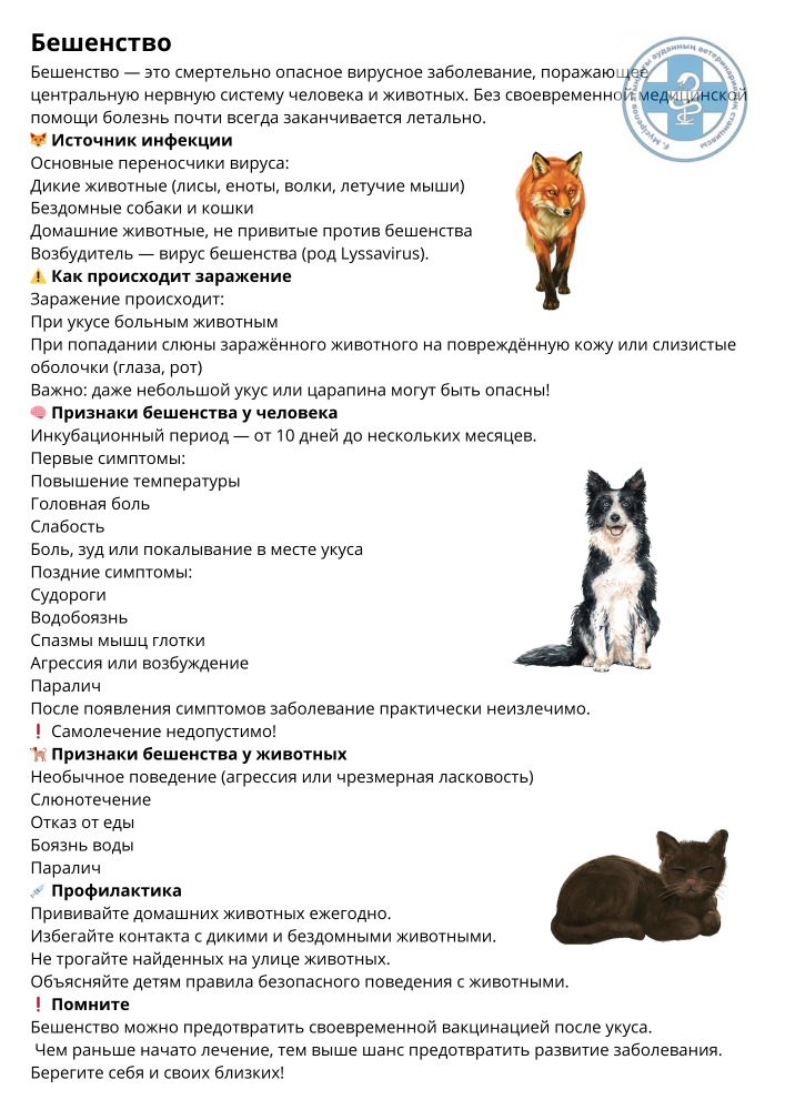 Бешенство