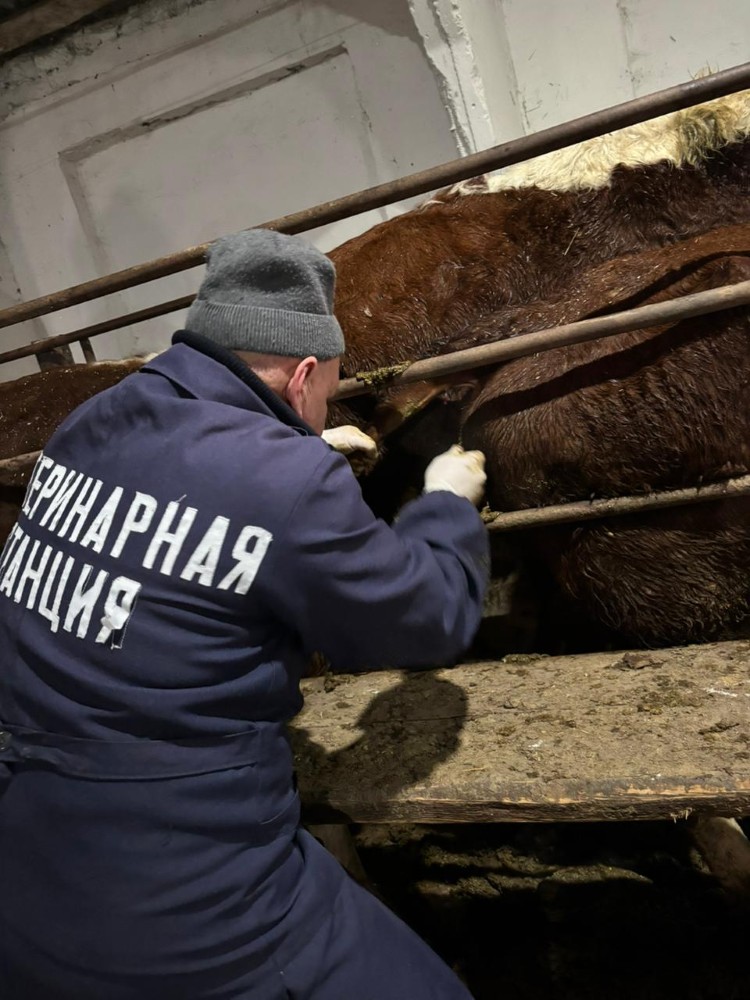 Құрметті Ғабит Мүсірепов атындағы аудан тұрғындары!