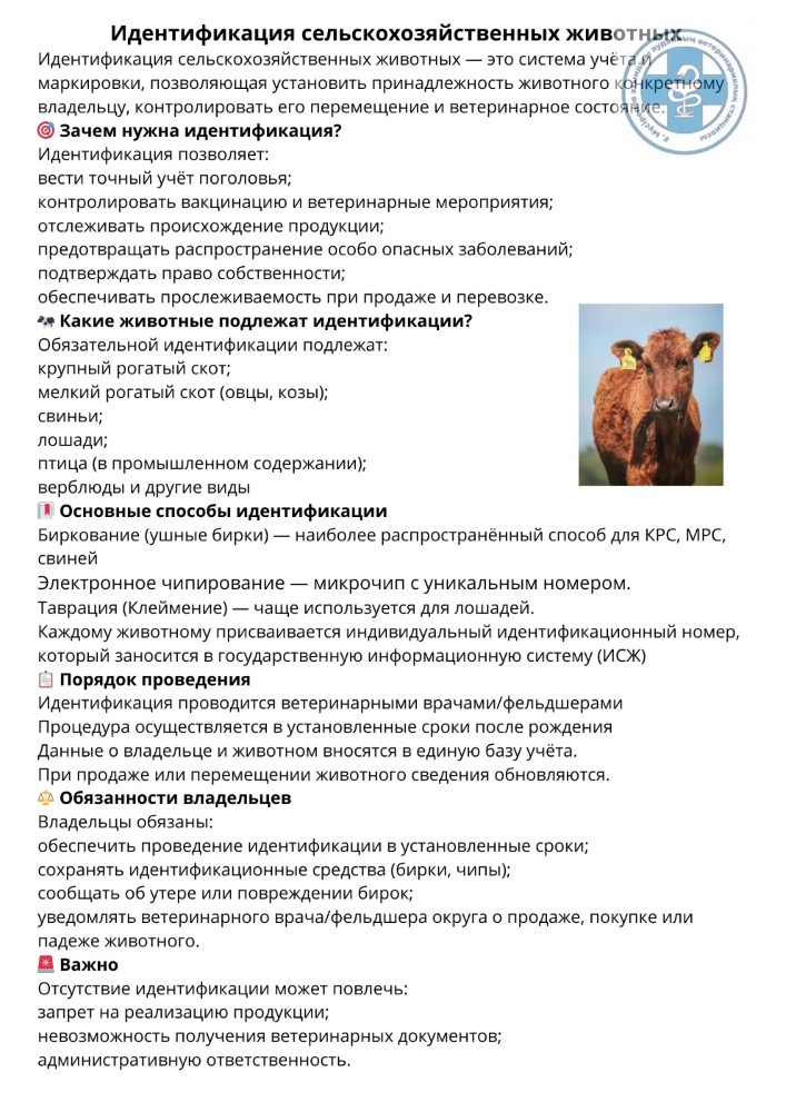 Халыққа жадынама