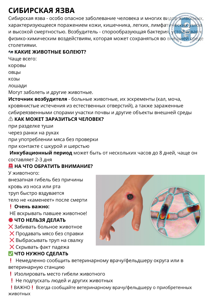 Халыққа жадынама