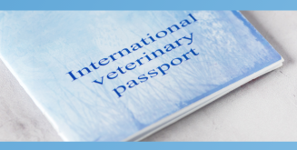 «Ветеринариялық паспорт беру» мемлекеттік қызметін көрсетуге қойылатын негізгі талаптар тізбесі