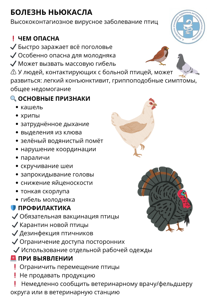 Халыққа жадынама