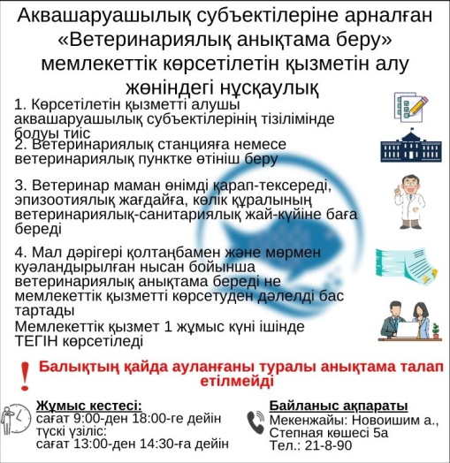 Мемлекеттік қызметтерді алу жөніндегі нұсқаулық